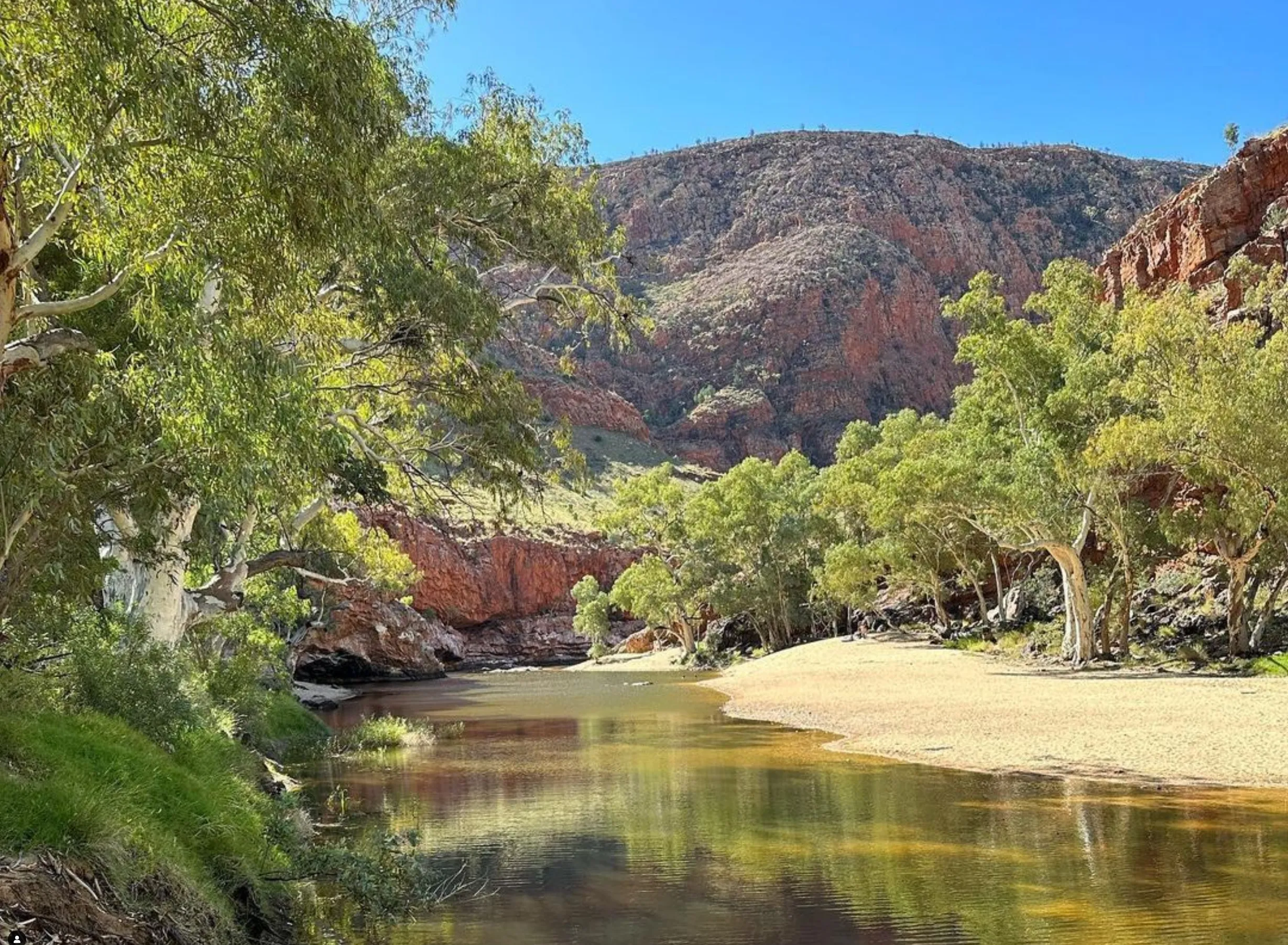 experienced adventurer, Larapinta