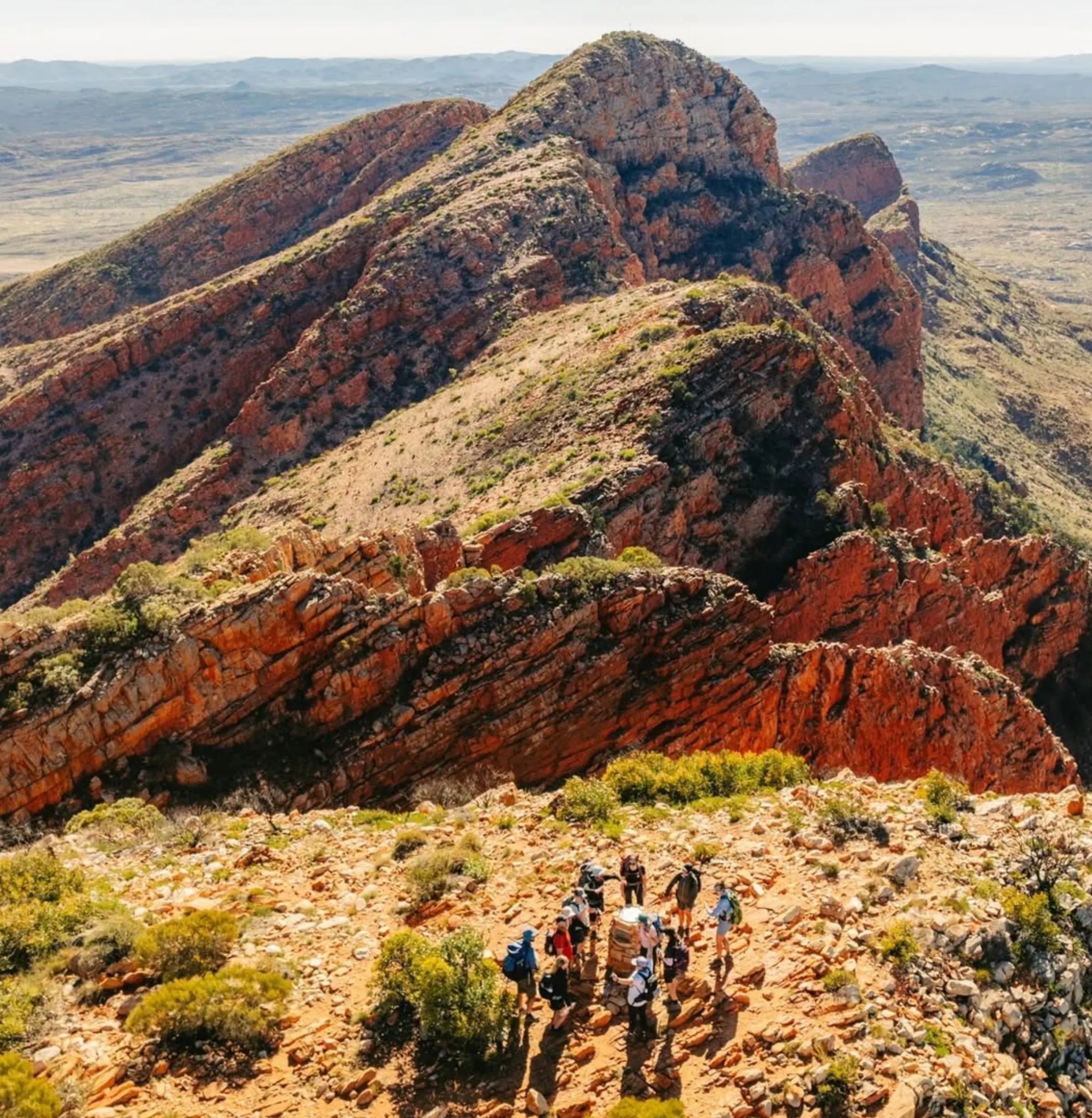 good traction, Larapinta