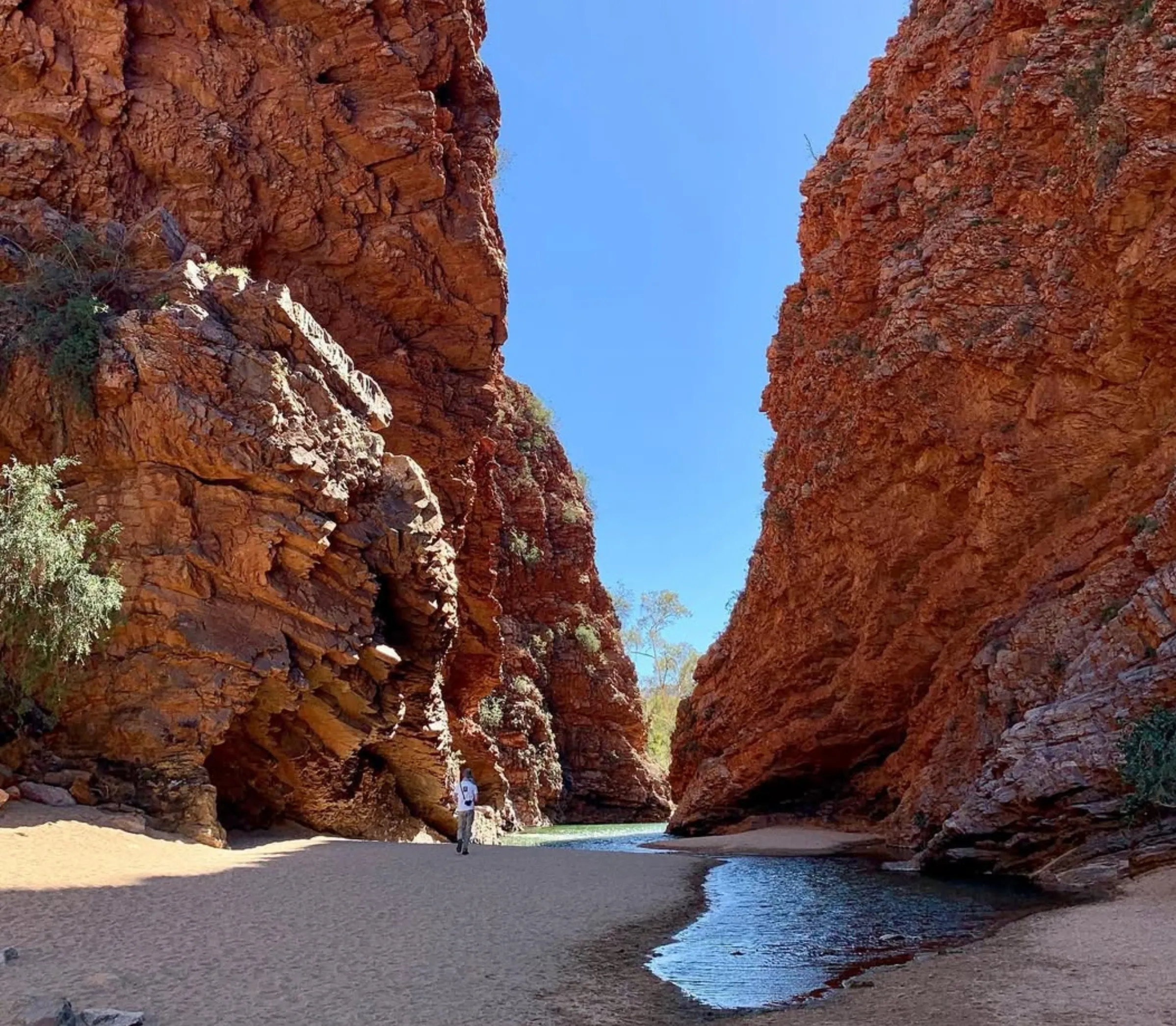 Standley Chasm, Larapinta