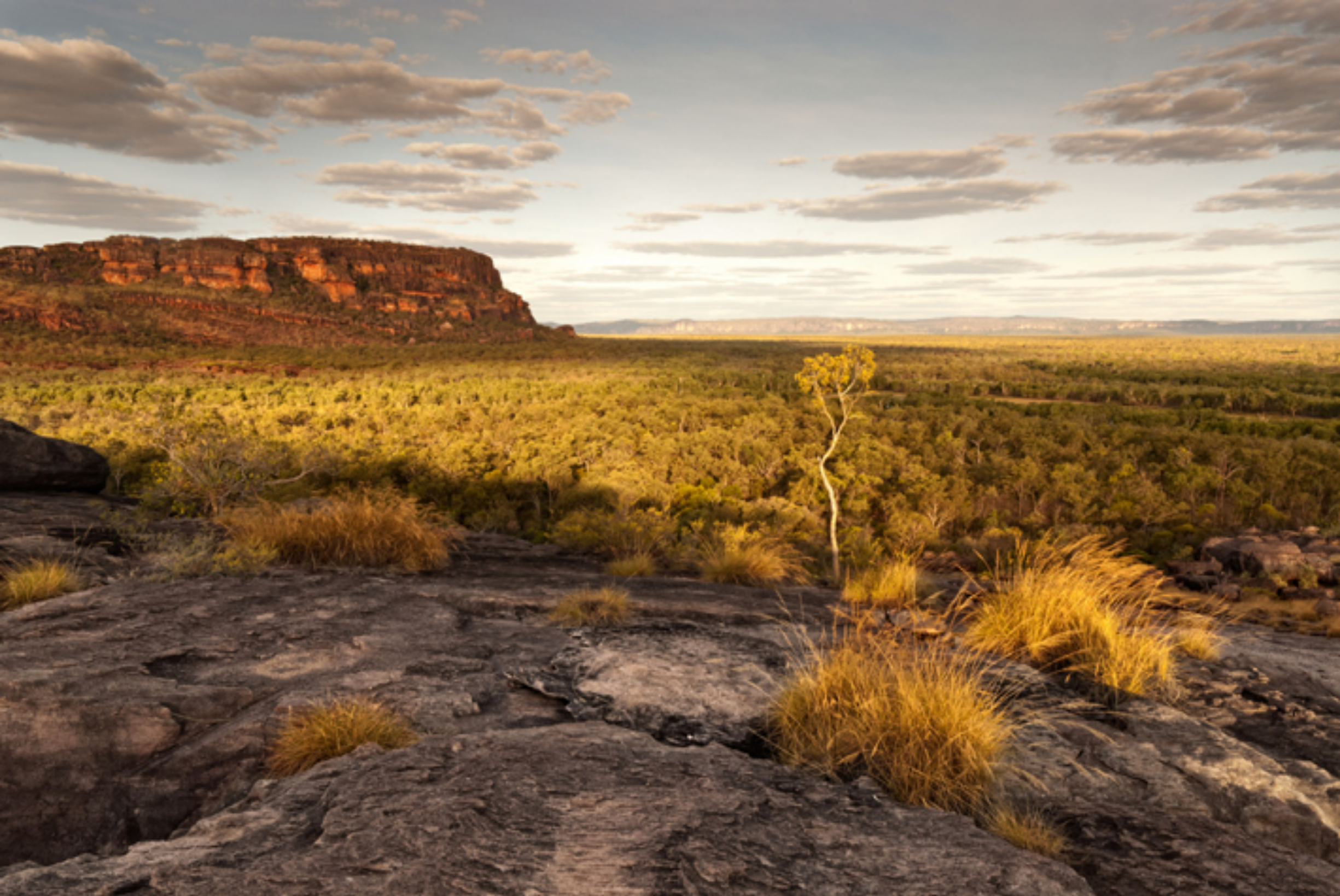 Languages Spoken in Kakadu | Aboriginal Culture Guide